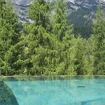 Dolomiti Alvera 3* 科尔蒂纳丹佩佐
